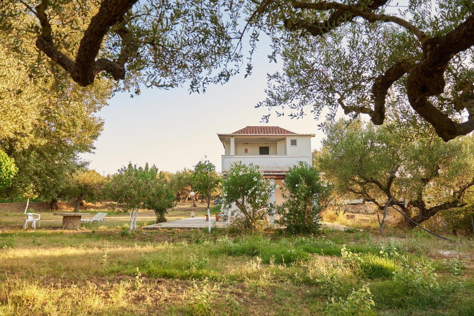 Villa Rania / Zante Drosia Kypseli Exteriér fotografie