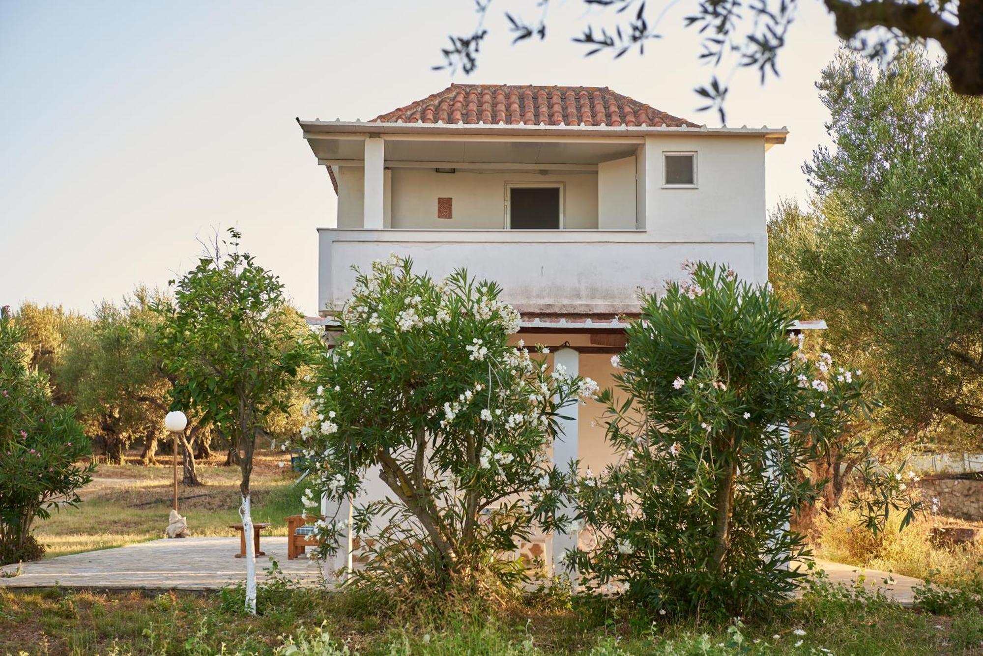 Villa Rania / Zante Drosia Kypseli Exteriér fotografie