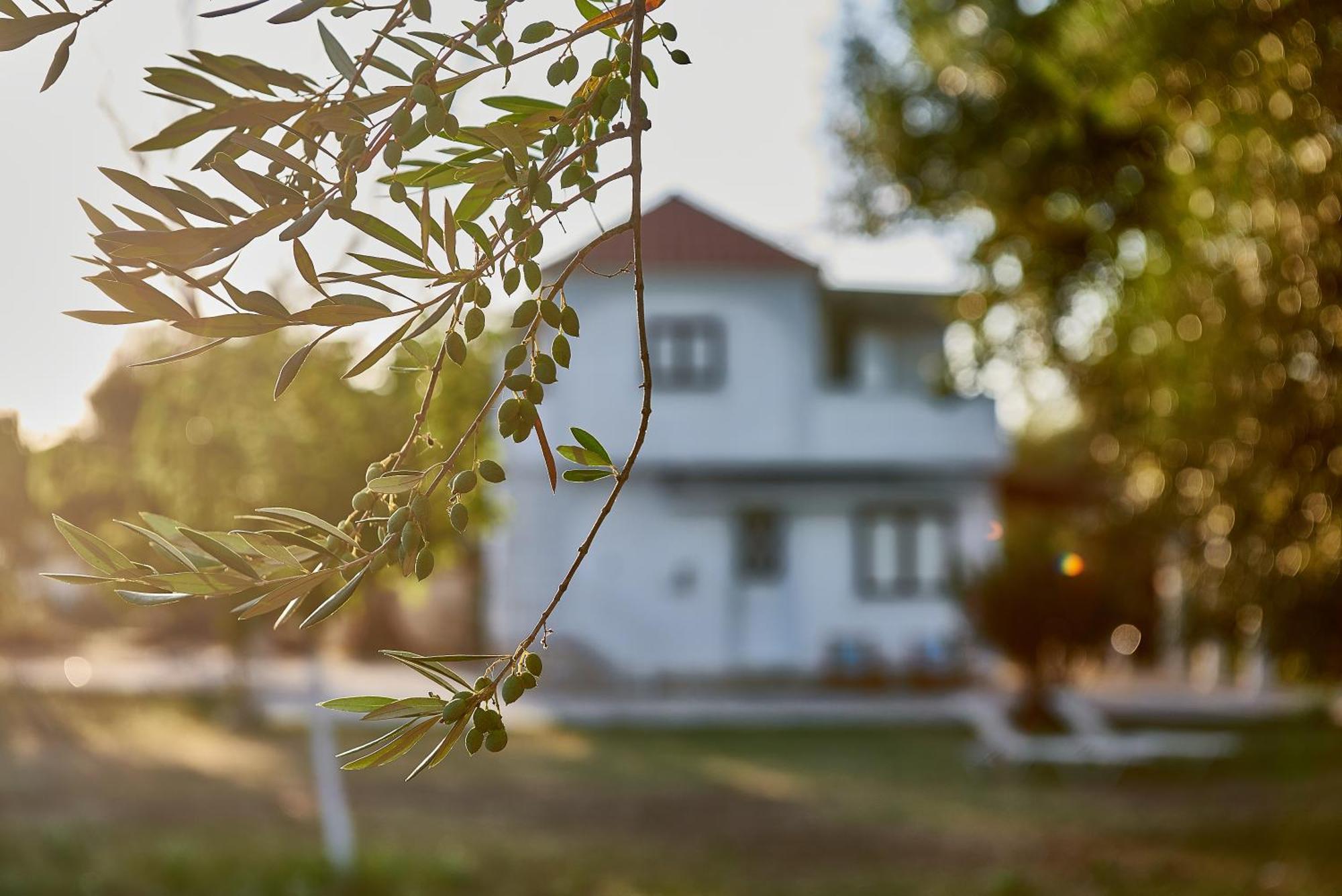 Villa Rania / Zante Drosia Kypseli Exteriér fotografie