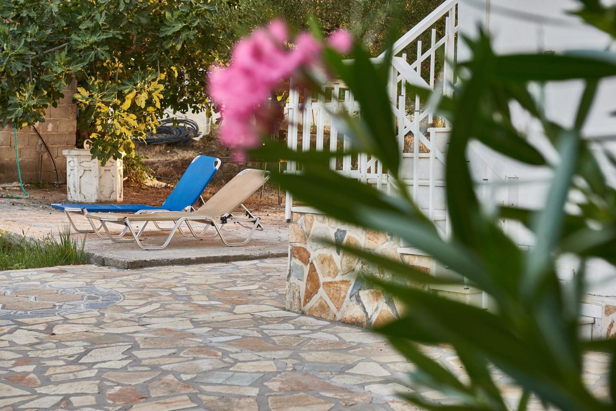 Villa Rania / Zante Drosia Kypseli Exteriér fotografie